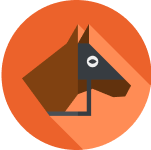 30+ sports and 11,000+ casino games.